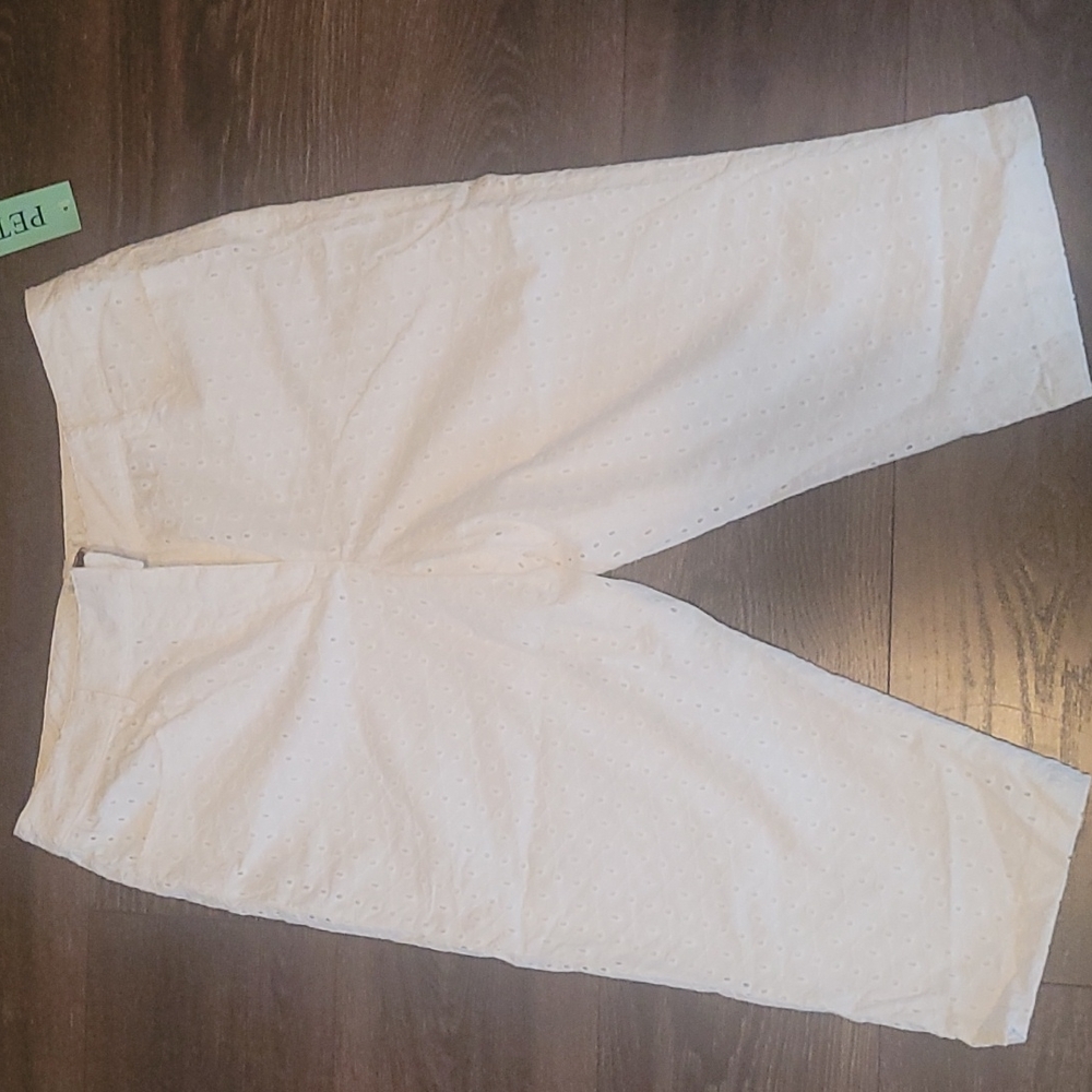 Talbots Petite Pants size 14